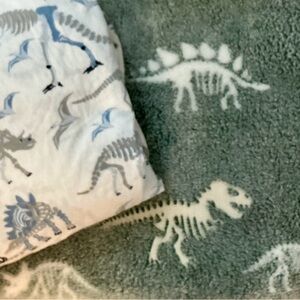 POTTERY BARN KIDS DINO PRINT FULL SHEET COTTON + BONUS  Dino plush Throw